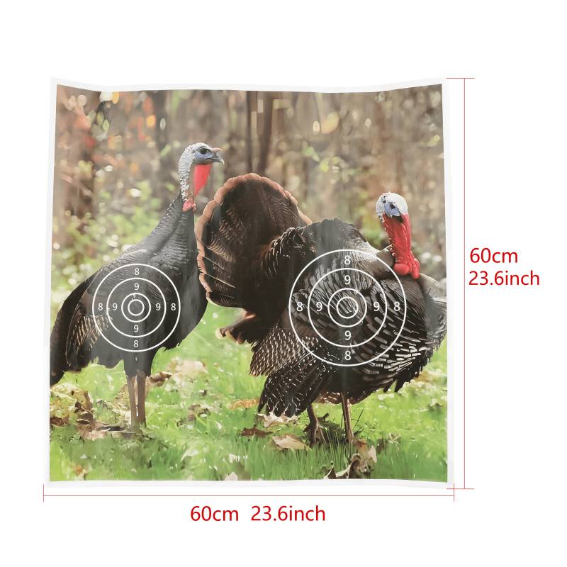 60 and turkey